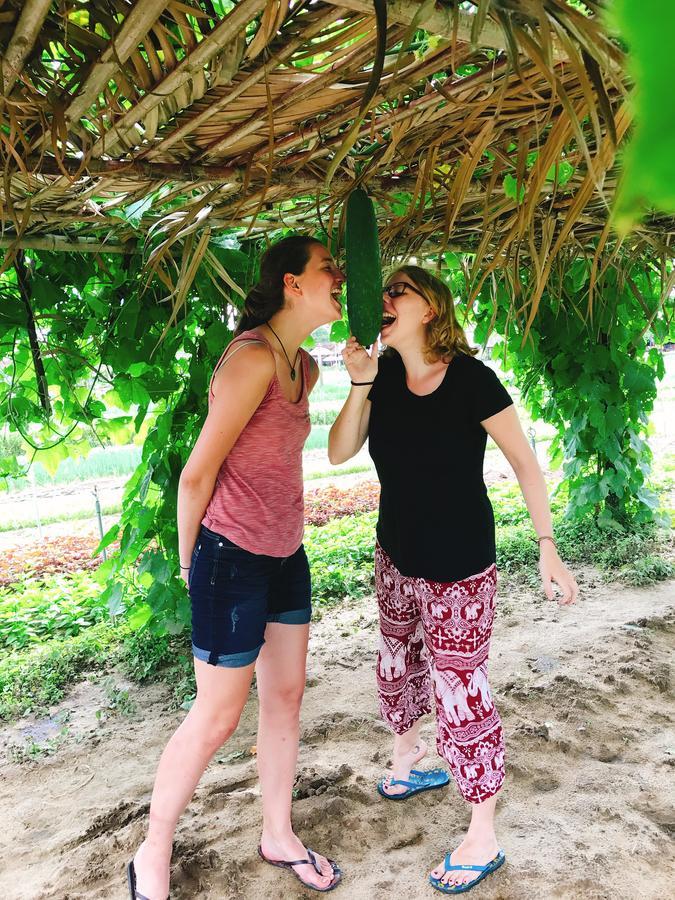 הוי אן Nature Homestay מראה חיצוני תמונה