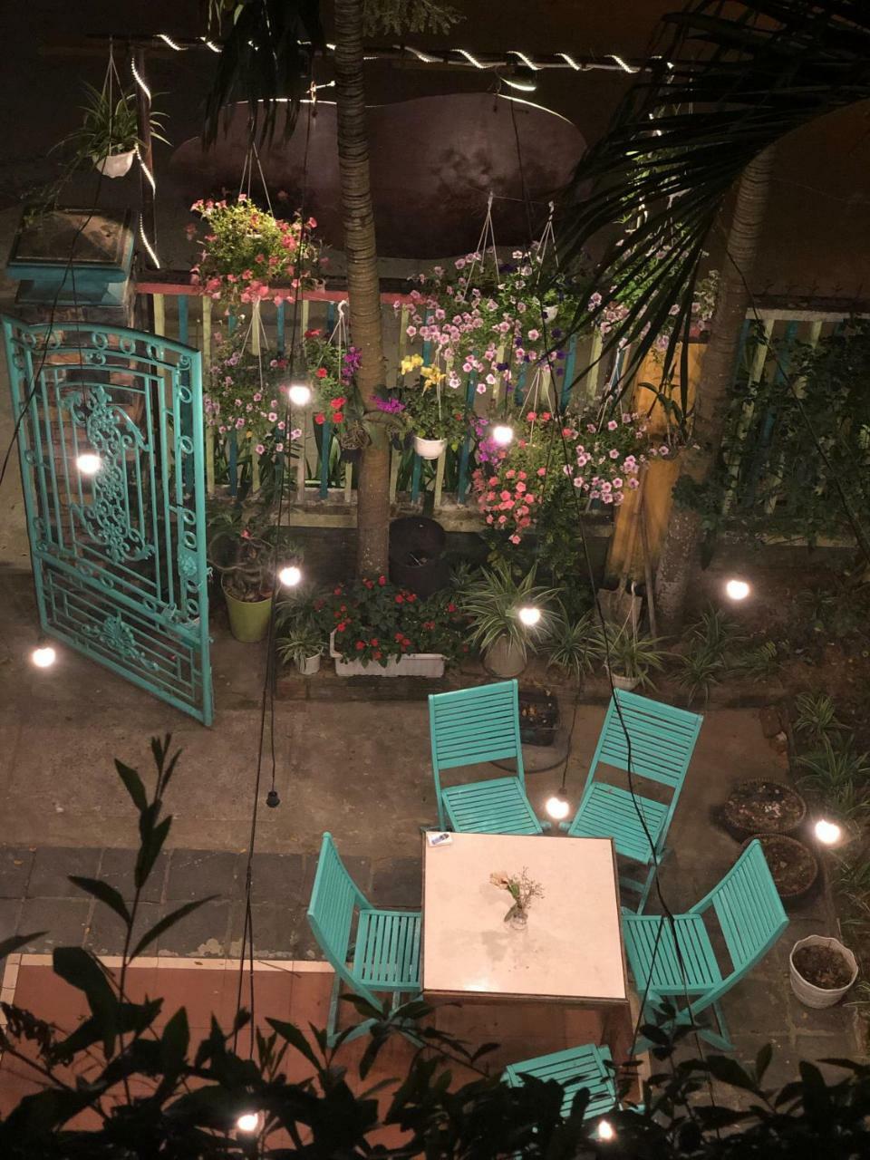 הוי אן Nature Homestay מראה חיצוני תמונה